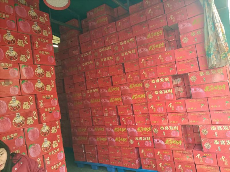 装置研发